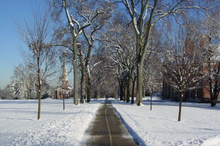 Example  -Tompkins Corporation Snow Removal | Snowremoval