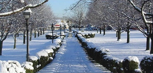Example 3 - We're Snow Experts